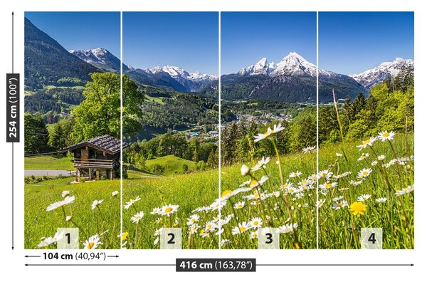 Carta da parati Montagne della Baviera 104x70 cm