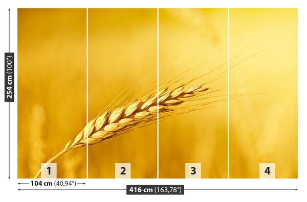 Carta da parati Orecchie di grano 104x70 cm