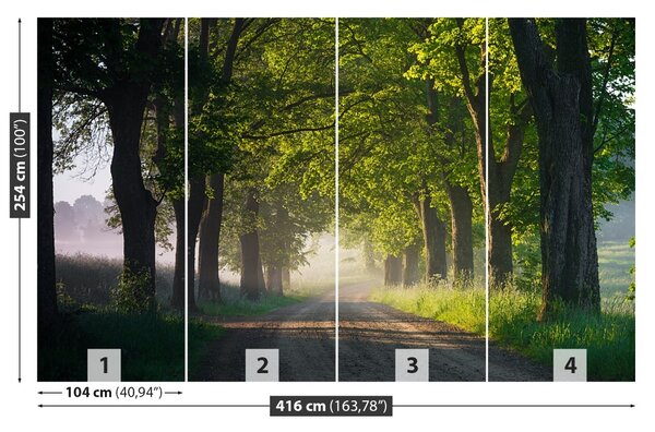 Carta da parati Avenue of Trees 104x70 cm