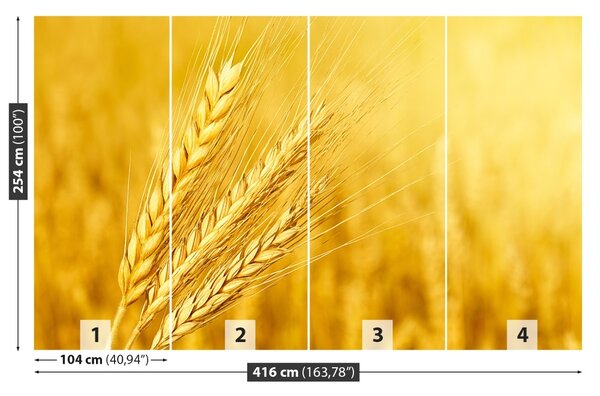 Carta da parati Orecchie di grano 104x70 cm