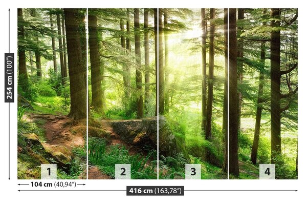 Carta da parati Foresta nebbiosa 104x70 cm