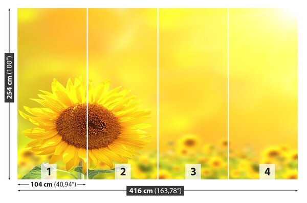 Carta da parati Girasoli gialli 104x70 cm