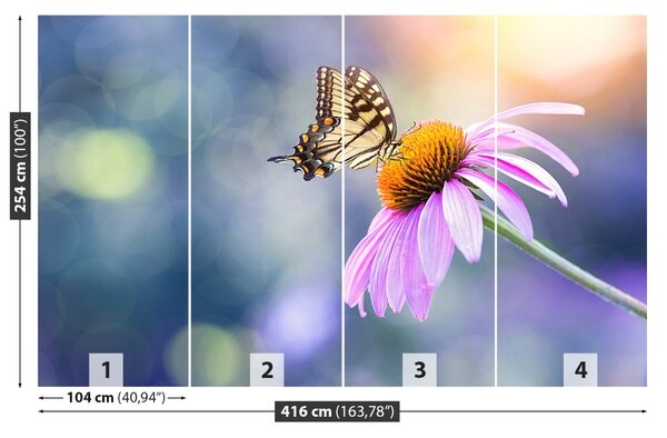 Carta da parati Farfalla echinacea 104x70 cm
