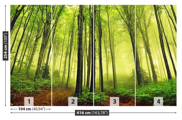 Carta da parati Foresta della nebbia 104x70 cm