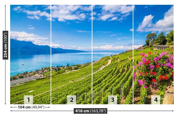 Carta da parati Vineyards tarastri 104x70 cm