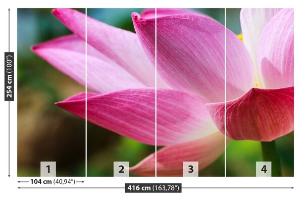 Carta da parati Loto rosa 104x70 cm