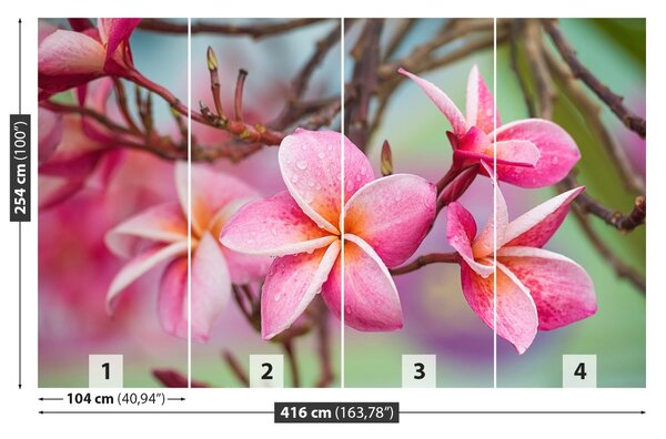 Carta da parati Frangipani Pink 104x70 cm