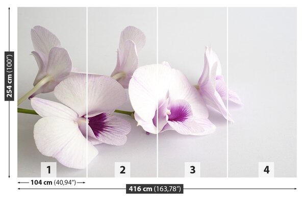 Carta da parati Orchidee bianche 104x70 cm