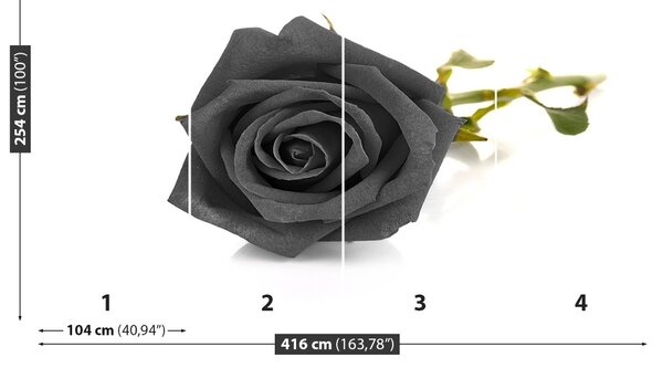 Carta da parati Rosa nera 104x70 cm