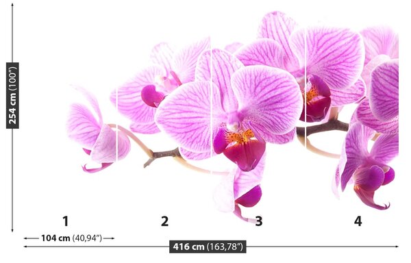 Carta da parati Orchidea rosa 104x70 cm
