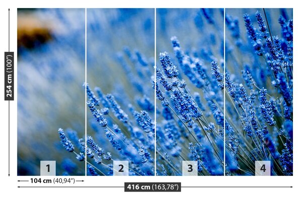Carta da parati Lavanda blu 104x70 cm