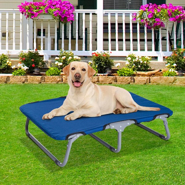 AllMyPets Brandina Cane Cuccia per Cani o Gatti Taglia Medio Piccola Pieghevole In Tessto Oxford Blu 71x58x18 cm - D0410DBU