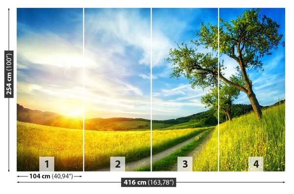 Carta da parati Meadow dell'albero 104x70 cm