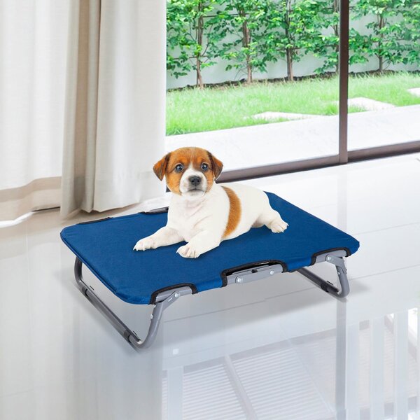 AllMyPets Brandina Cane Cuccia per Cani o Gatti Taglia Piccola Pieghevole In Acciaio e Tessuto Oxford 59x46x15 cm colore Blu - D04101BU