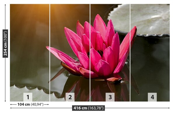 Carta da parati Lily di acqua rosa 104x70 cm
