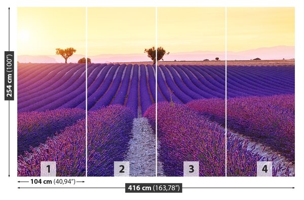 Carta da parati Campi di lavanda 104x70 cm