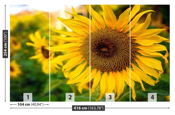 Carta da parati Girasoli gialli 104x70 cm