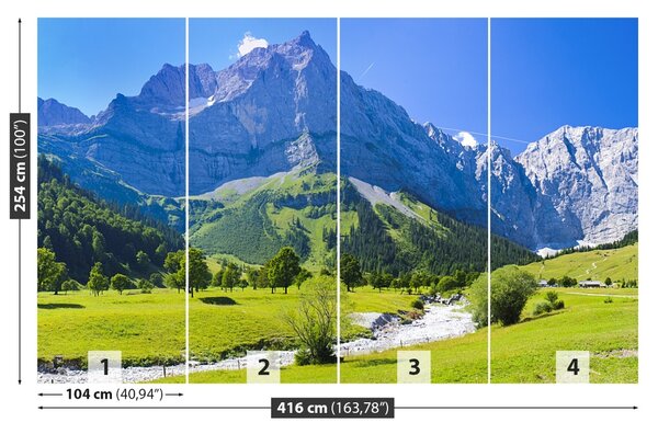 Carta da parati Panorama delle Alpi 104x70 cm