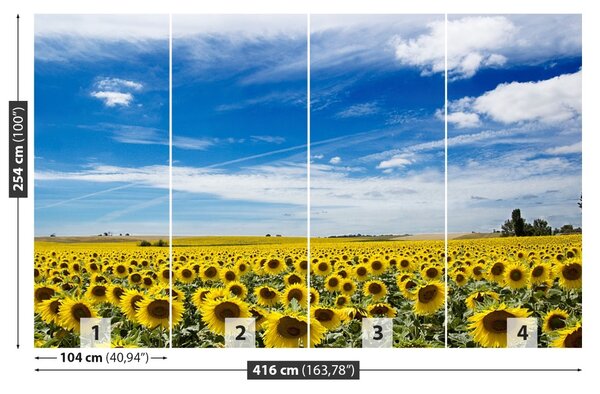 Carta da parati Campo di girasole 104x70 cm