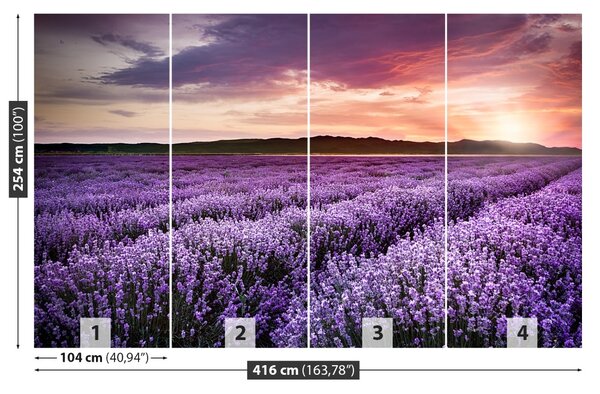 Carta da parati Campo di lavanda 104x70 cm