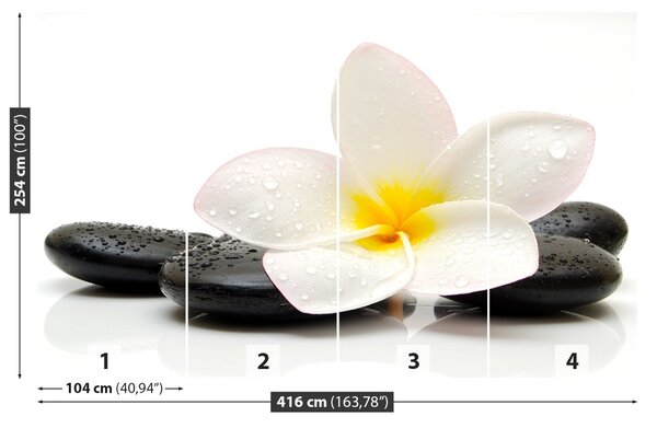 Carta da parati Pietre di plumeria 104x70 cm