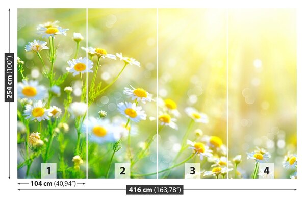 Carta da parati Fiori di camomilla 104x70 cm