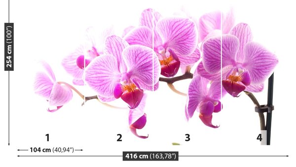 Carta da parati Orchidea rosa 104x70 cm