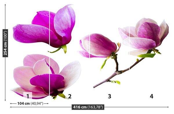 Carta da parati Fiori magnolia 104x70 cm