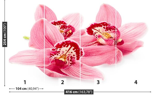 Carta da parati Orchidea rosa 104x70 cm