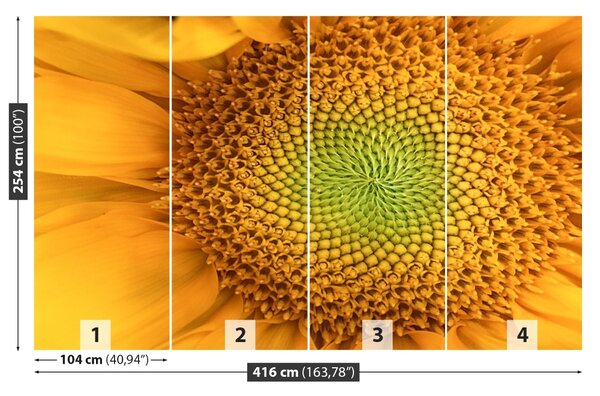 Carta da parati Girasole 104x70 cm