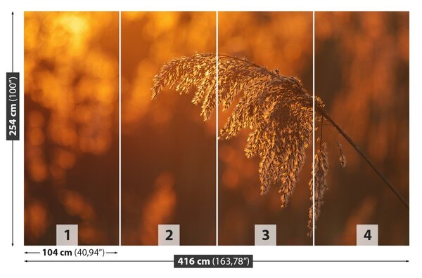 Carta da parati Reed arancione 104x70 cm