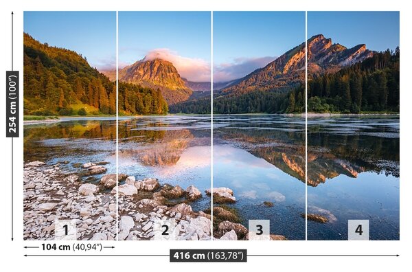 Carta da parati Alpi svizzere 104x70 cm