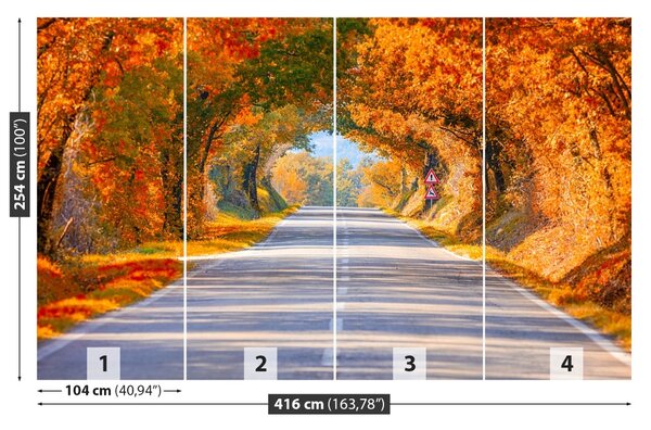 Carta da parati Strada in autunno 104x70 cm