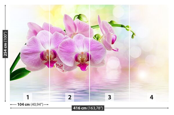Carta da parati Rose di orchidea 104x70 cm