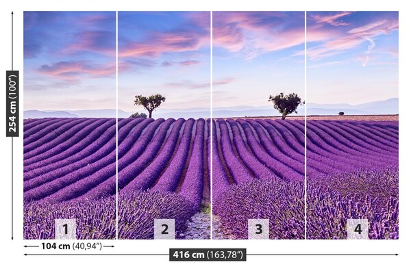 Carta da parati Campo di lavanda 104x70 cm