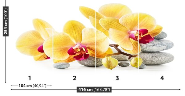 Carta da parati Orchidea gialla 104x70 cm