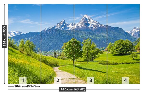 Carta da parati Alpi estive 104x70 cm