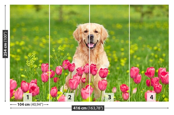 Carta da parati Cane di tulipano 104x70 cm
