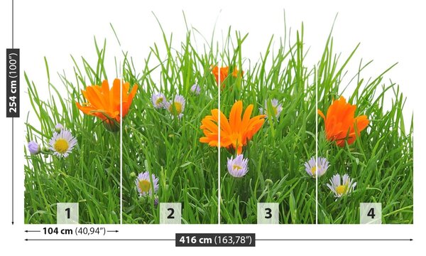 Carta da parati Fiori di Pasqua 104x70 cm