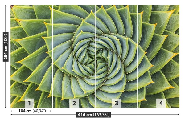 Carta da parati Simmetria dell'aloe 104x70 cm