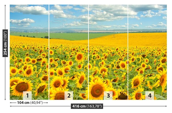 Carta da parati Campo di girasole 104x70 cm