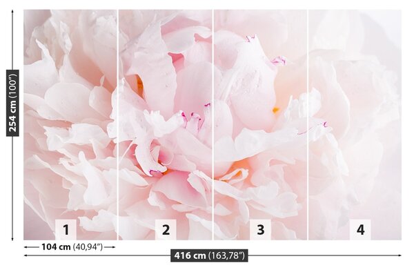 Carta da parati Peonia rosa 104x70 cm