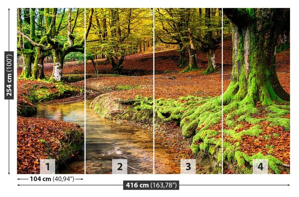 Carta da parati Foresta in autunno 104x70 cm