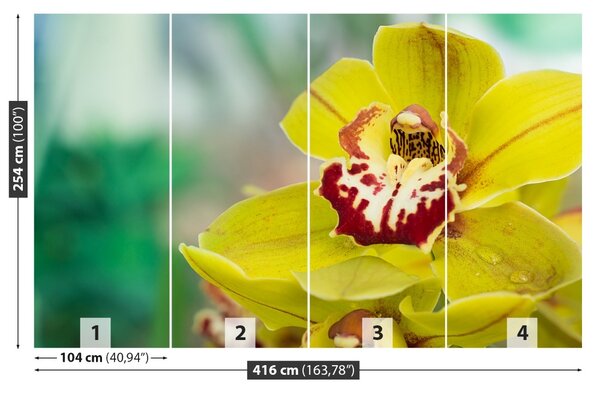 Carta da parati Orchidea gialla 104x70 cm