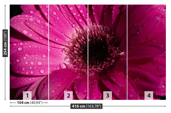 Carta da parati Purple Gerbera 104x70 cm