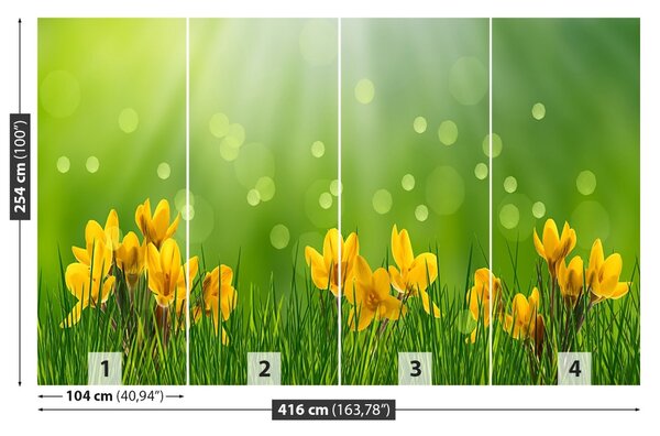 Carta da parati Crocus di Pasqua 104x70 cm