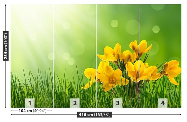 Carta da parati Crocus verdi 104x70 cm