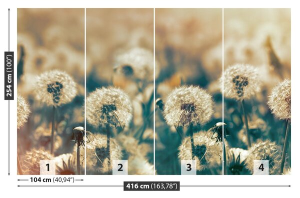 Carta da parati Dandelion Meadow 104x70 cm