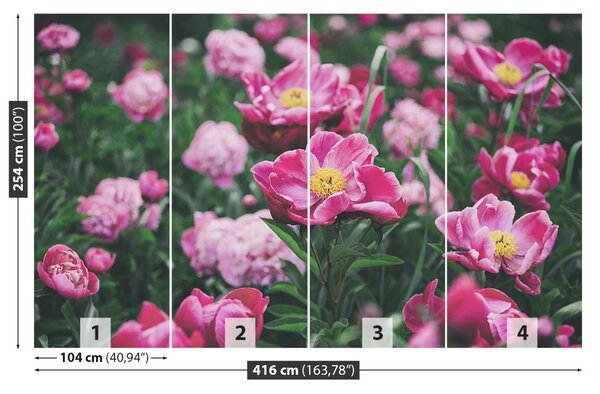 Carta da parati Peonie rosa 104x70 cm