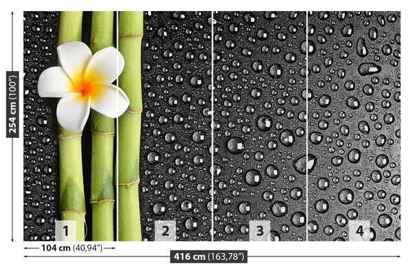 Carta da parati Fiore frangipani 104x70 cm